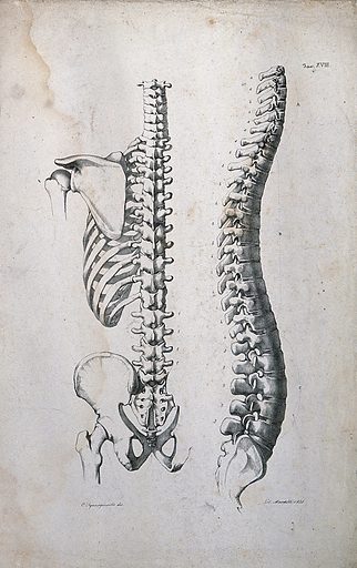 lookandlearn.com yw008175ver